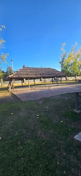 Quinta en Venta en Maipu, Mendoza