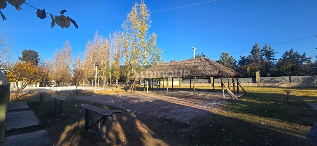 Quinta en Venta en Maipu, Mendoza