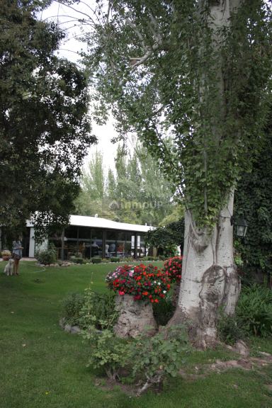 Hotel en Venta en Lujan de Cuyo, Mendoza