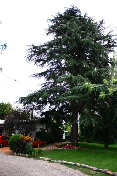 Hotel en Venta en Lujan de Cuyo, Mendoza