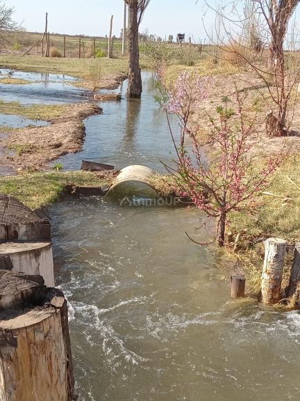 Finca en Venta en Santa Rosa, Mendoza