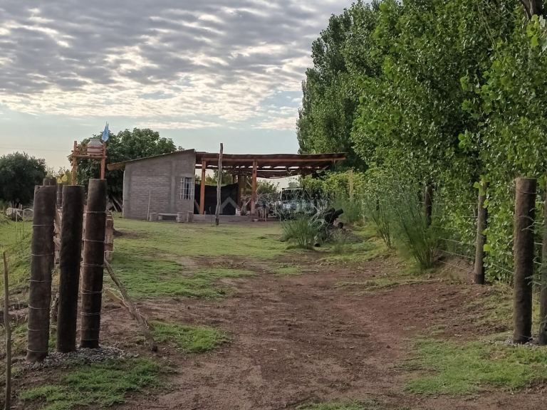 Finca en Venta en Santa Rosa, Mendoza