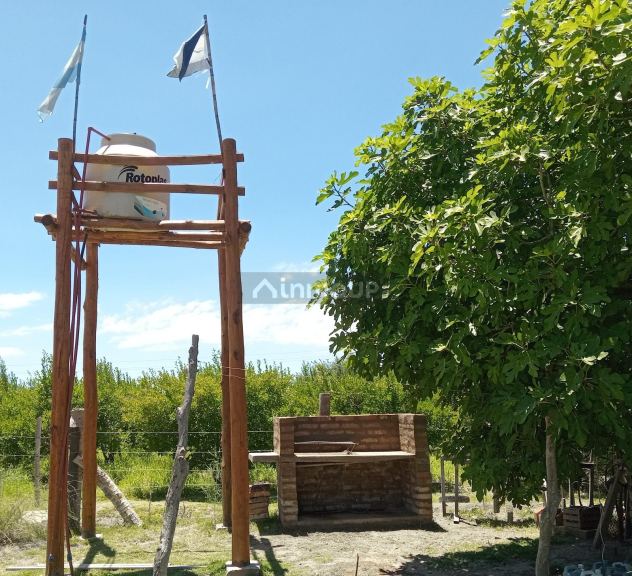 Finca en Venta en Santa Rosa, Mendoza