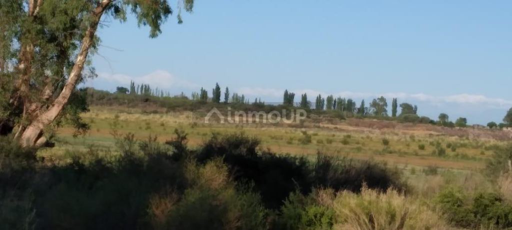 Finca en Venta en Santa Rosa, Mendoza