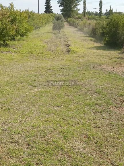 Finca en Venta en Santa Rosa, Mendoza