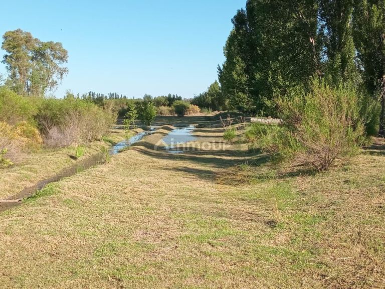 Finca en Venta en Santa Rosa, Mendoza