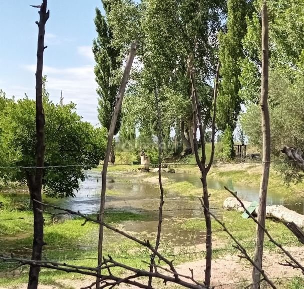 Finca en Venta en Santa Rosa, Mendoza