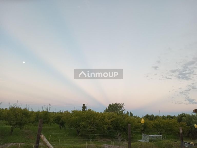 Finca en Venta en Santa Rosa, Mendoza