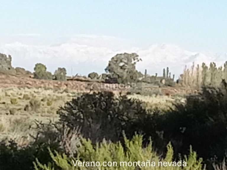 Finca en Venta en Santa Rosa, Mendoza