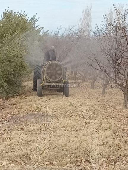 Finca en Venta en Santa Rosa, Mendoza