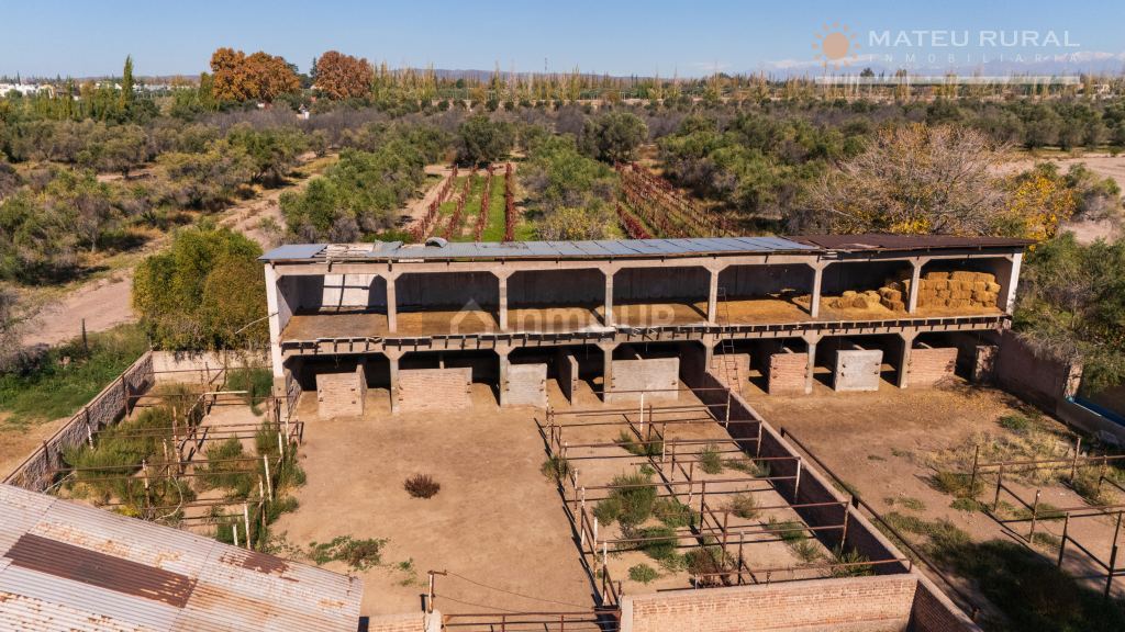 Bodega en Venta en Maipu, Mendoza