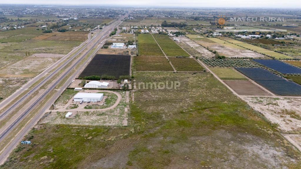 Finca en Venta en San Martin, Mendoza