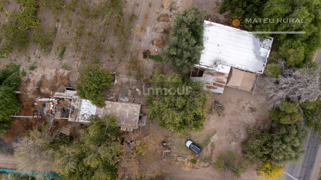Finca en Venta en San Martin, Mendoza