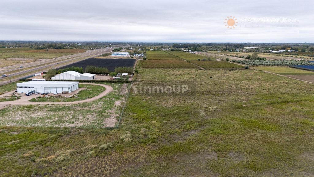 Finca en Venta en San Martin, Mendoza