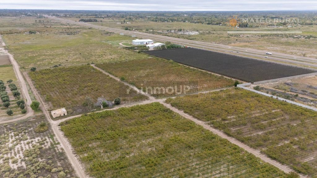 Finca en Venta en San Martin, Mendoza