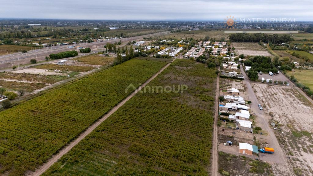 Finca en Venta en San Martin, Mendoza