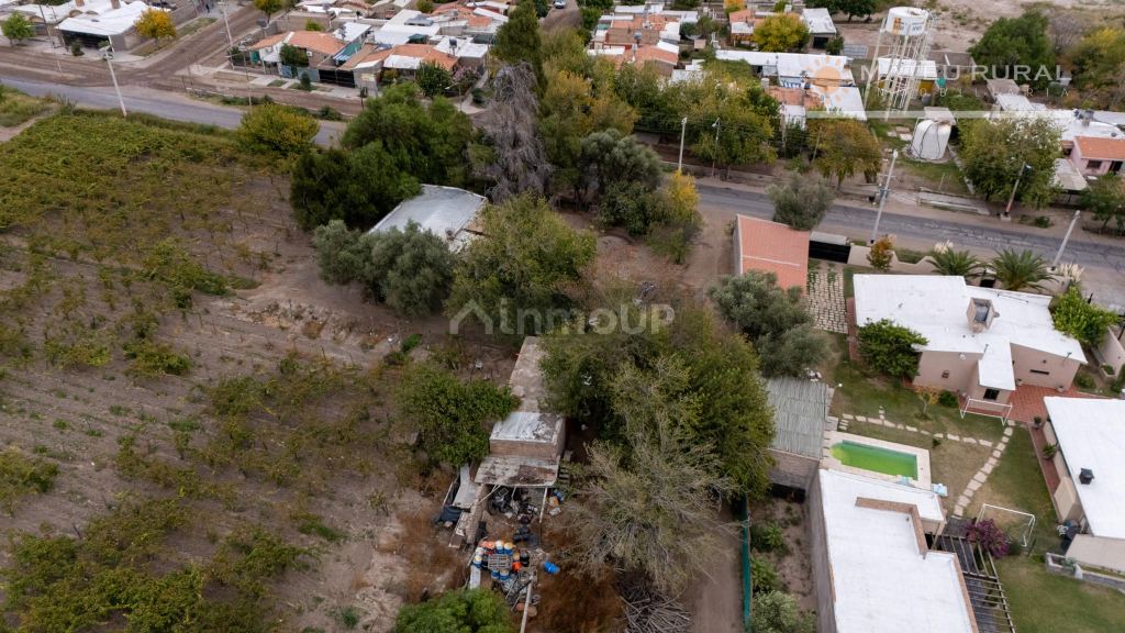 Finca en Venta en San Martin, Mendoza