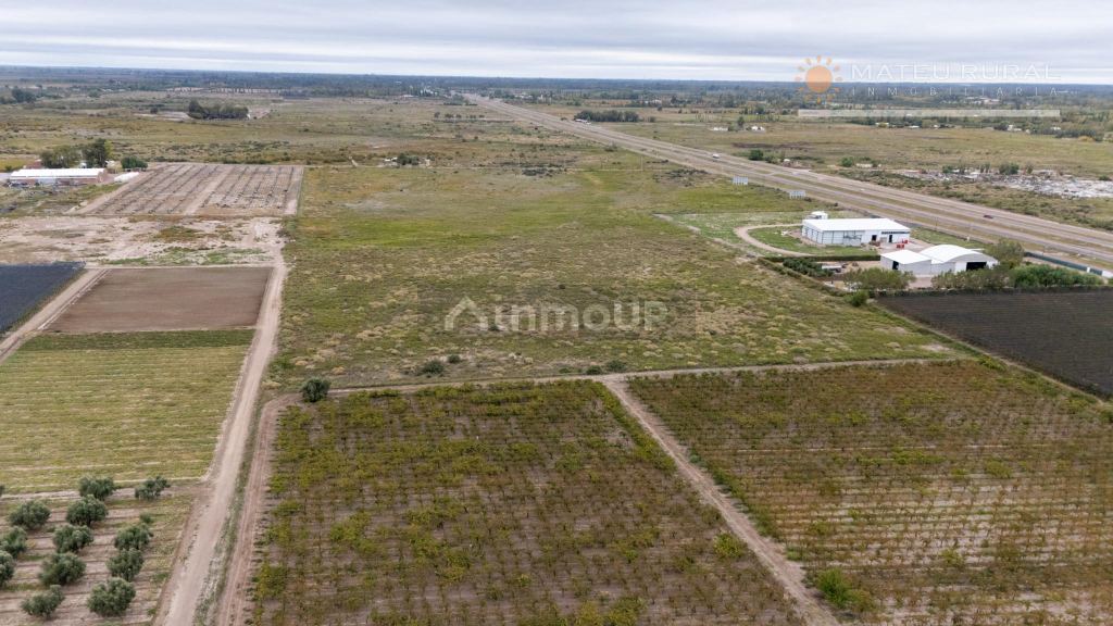 Finca en Venta en San Martin, Mendoza
