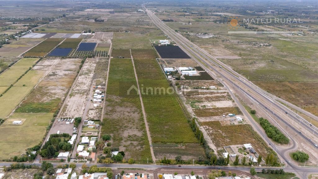 Finca en Venta en San Martin, Mendoza