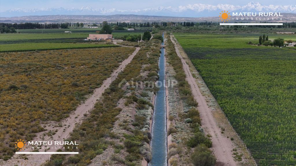 Bodega con Viñedo en Venta en Maipu, Mendoza