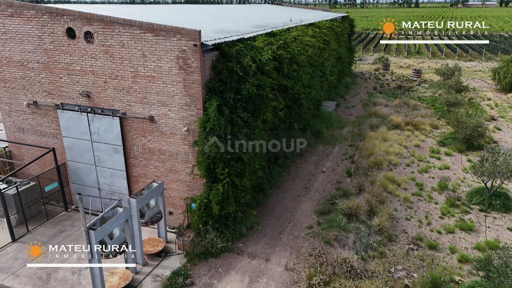 Bodega con Viñedo en Venta en Maipu, Mendoza