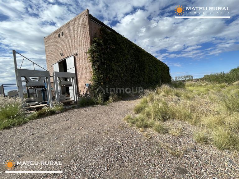 Bodega con Viñedo en Venta en Maipu, Mendoza