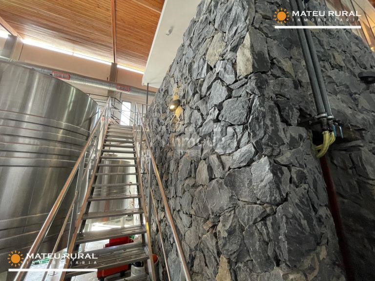 Bodega con Viñedo en Venta en Maipu, Mendoza