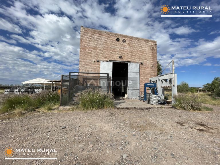 Bodega con Viñedo en Venta en Maipu, Mendoza