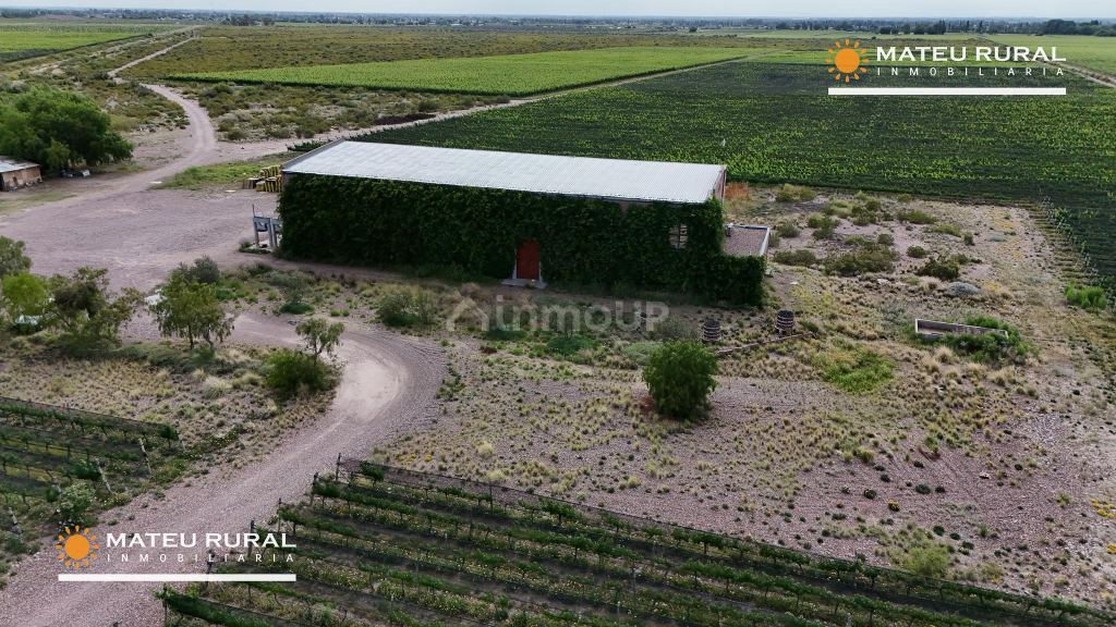 Bodega con Viñedo en Venta en Maipu, Mendoza