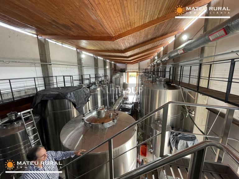 Bodega con Viñedo en Venta en Maipu, Mendoza