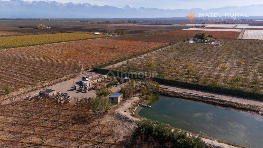 Finca en Venta en Tupungato, Mendoza