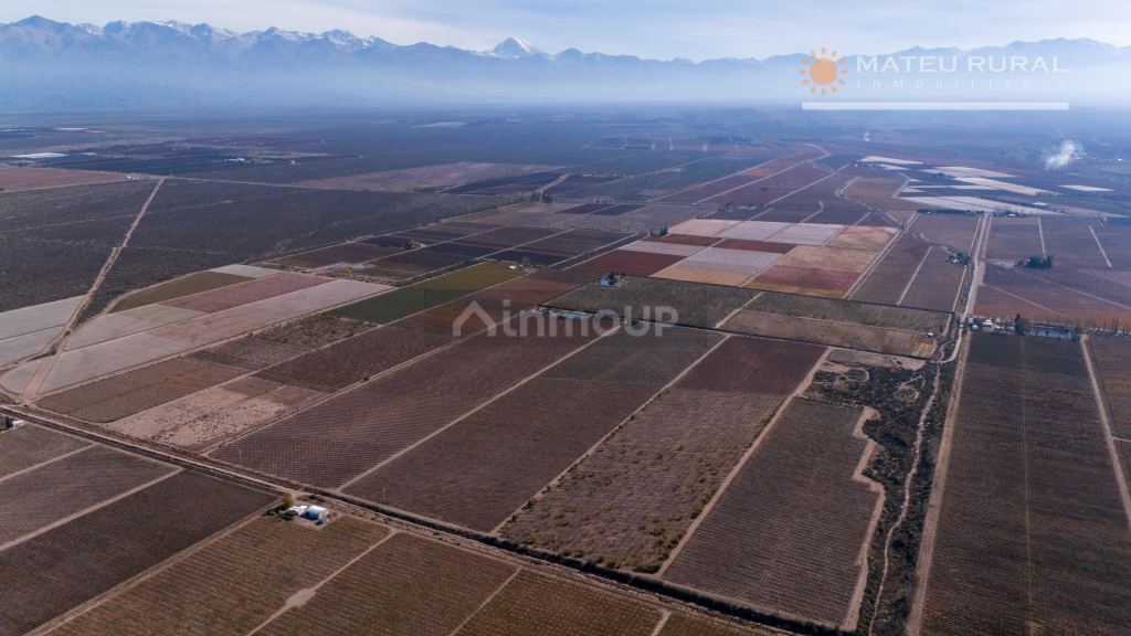 Finca en Venta en Tupungato, Mendoza