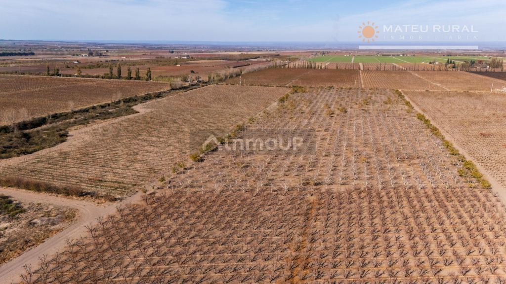 Finca en Venta en Tupungato, Mendoza