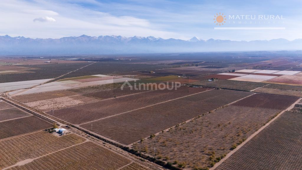 Finca en Venta en Tupungato, Mendoza