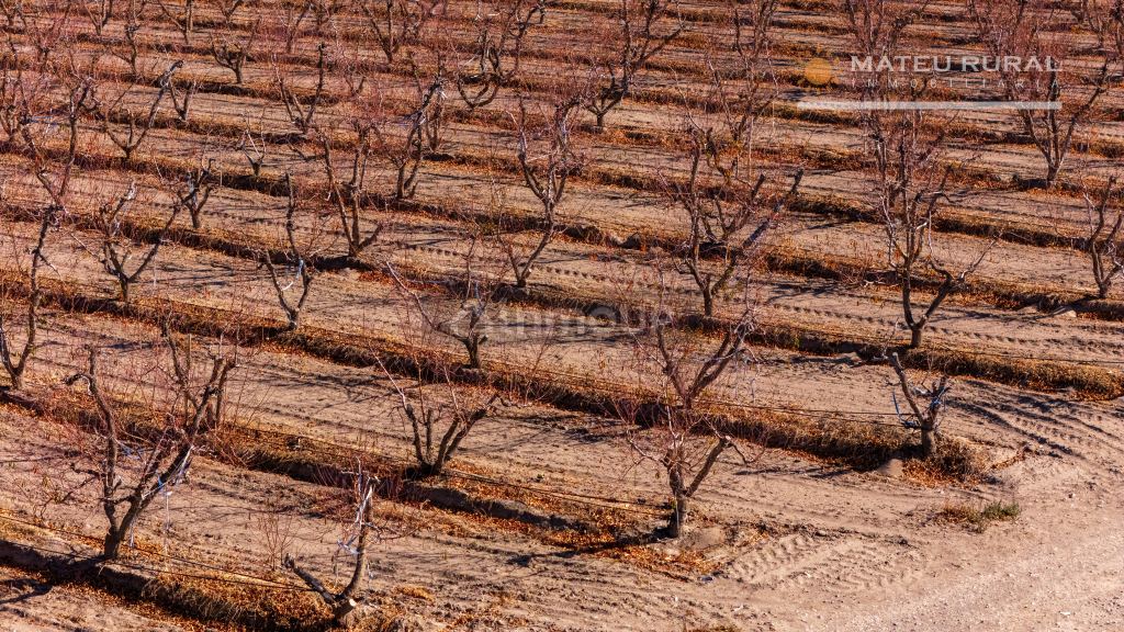 Finca en Venta en Tupungato, Mendoza