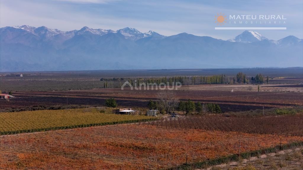Finca en Venta en Tupungato, Mendoza
