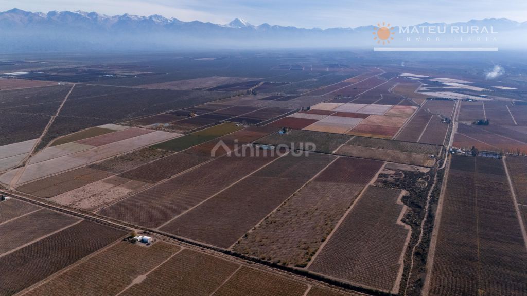 Finca en Venta en Tupungato, Mendoza