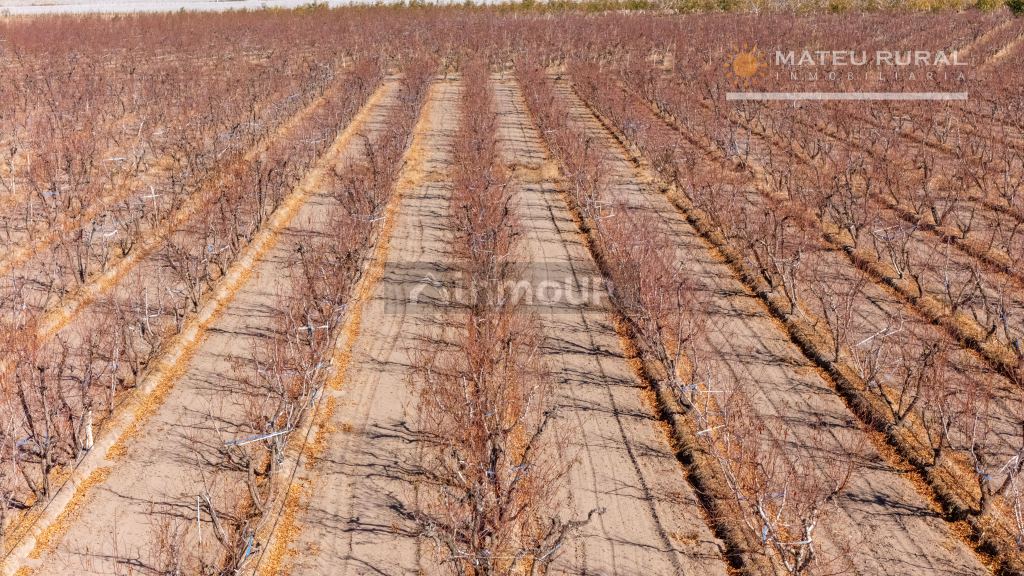 Finca en Venta en Tupungato, Mendoza