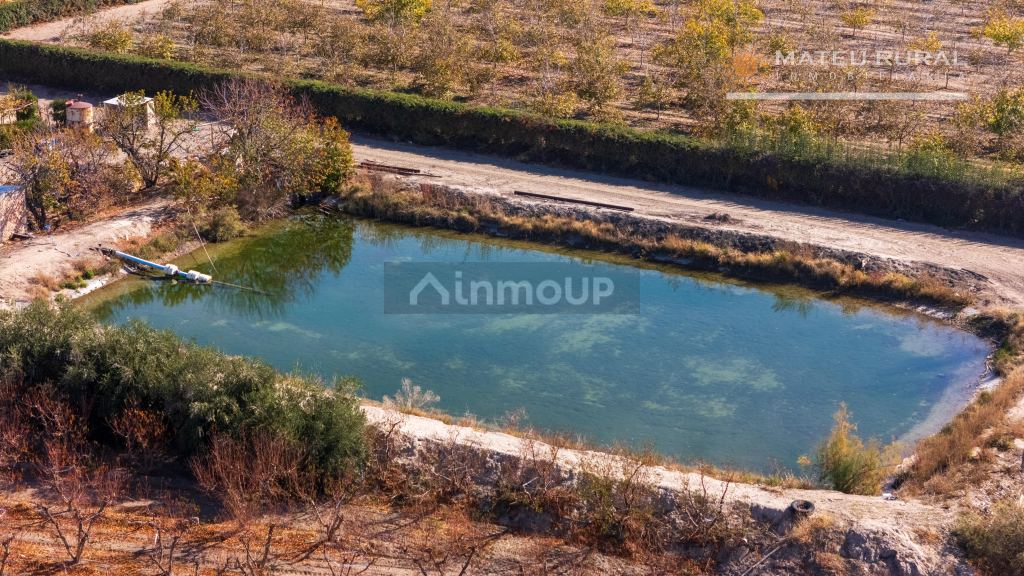 Finca en Venta en Tupungato, Mendoza