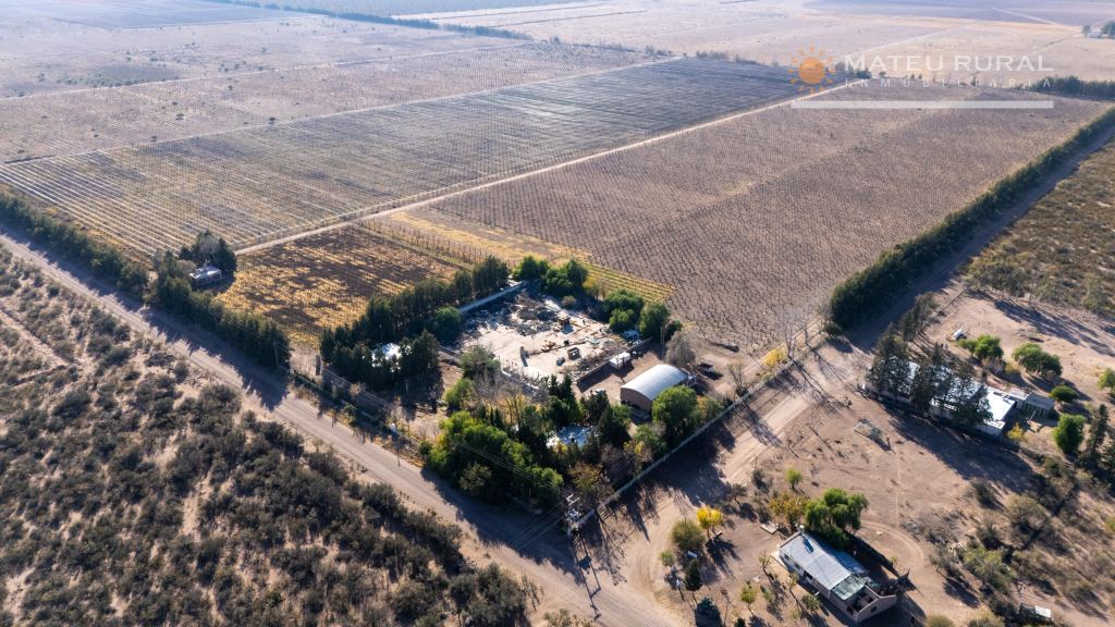 Finca en Venta en Santa Rosa, Mendoza