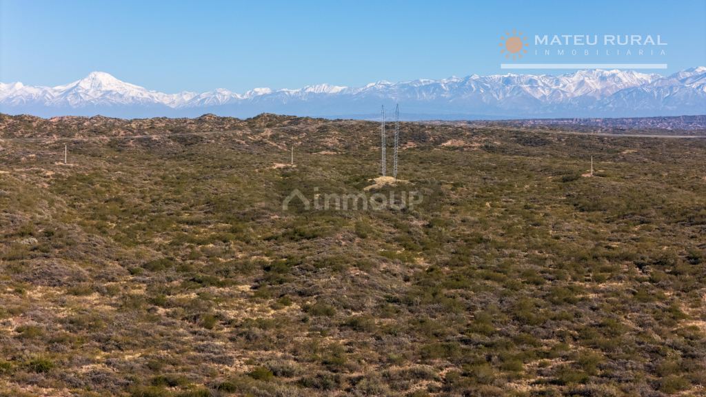Finca en Venta en Lujan de Cuyo, Mendoza