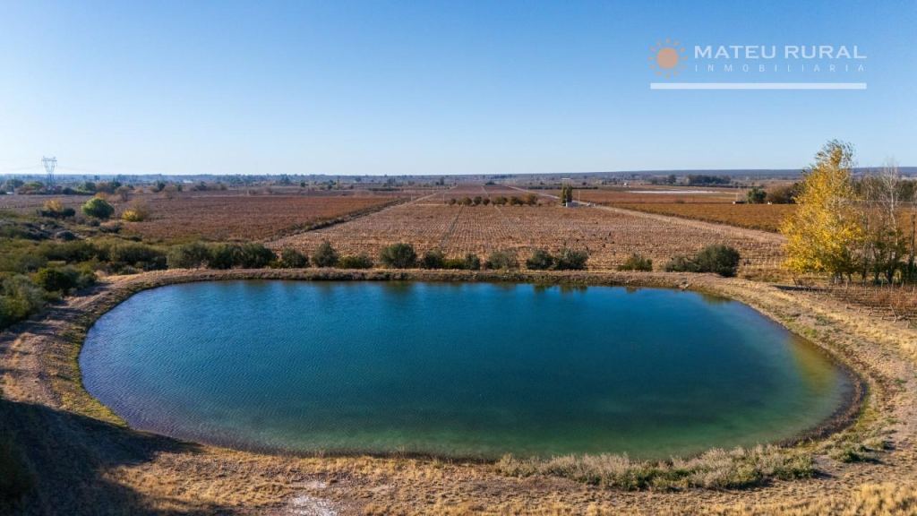 Finca en Venta en Lujan de Cuyo, Mendoza