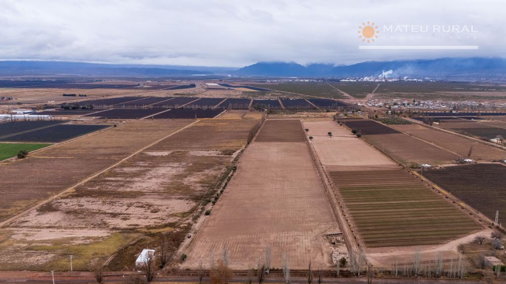 Finca en Venta en Lujan de Cuyo, Mendoza