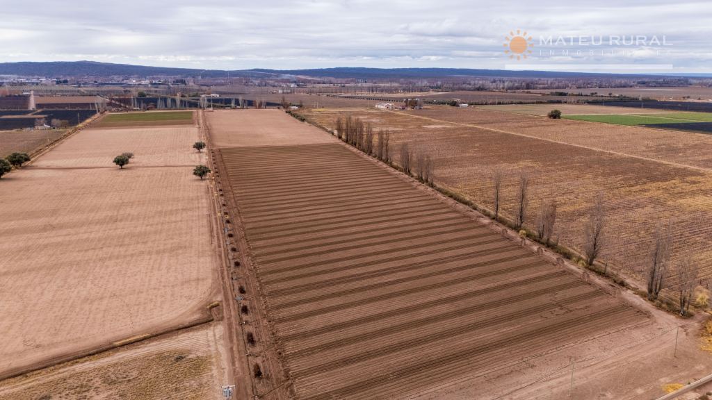 Finca en Venta en Lujan de Cuyo, Mendoza