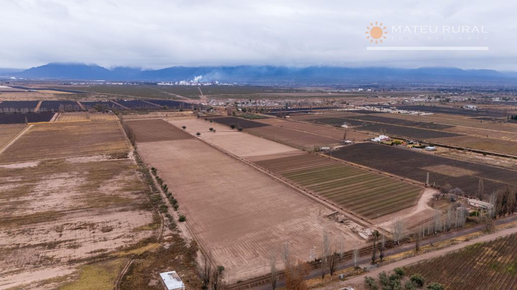 Finca en Venta en Lujan de Cuyo, Mendoza