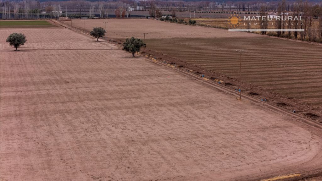Finca en Venta en Lujan de Cuyo, Mendoza
