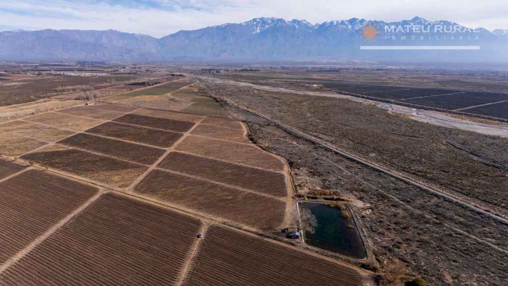 Finca en Venta en San Carlos, Mendoza