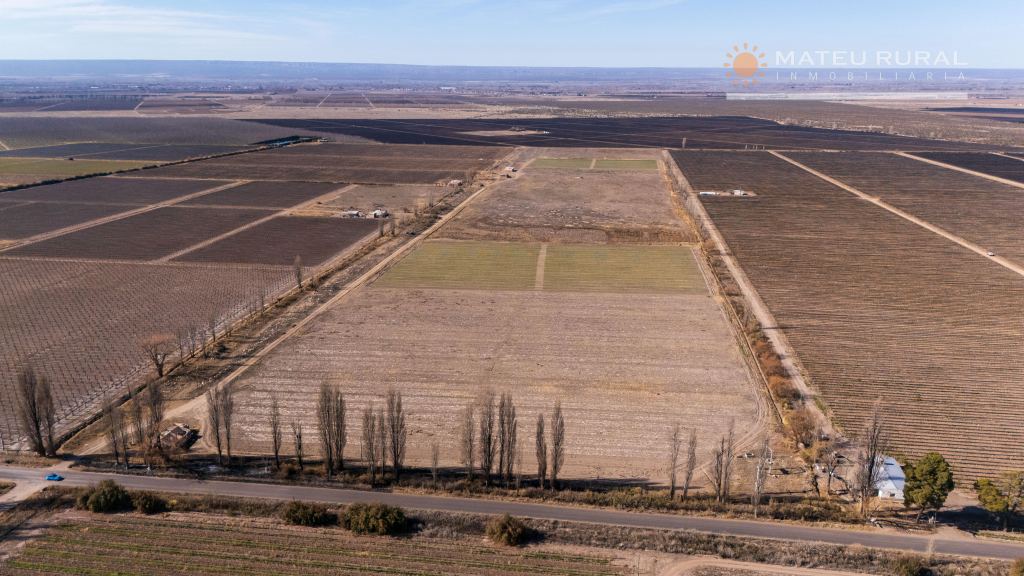 Finca en Venta en San Carlos, Mendoza