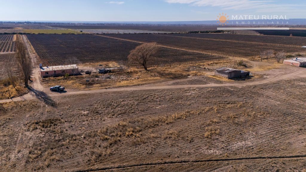 Finca en Venta en San Carlos, Mendoza