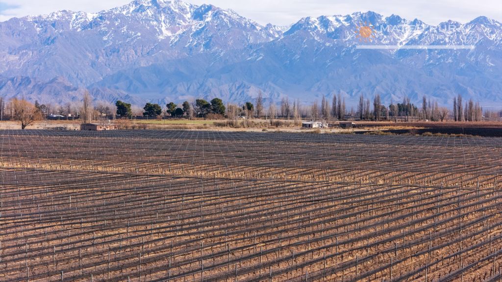 Finca en Venta en San Carlos, Mendoza